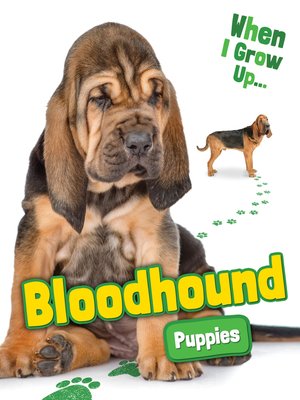 cover image of Bloodhound Puppies